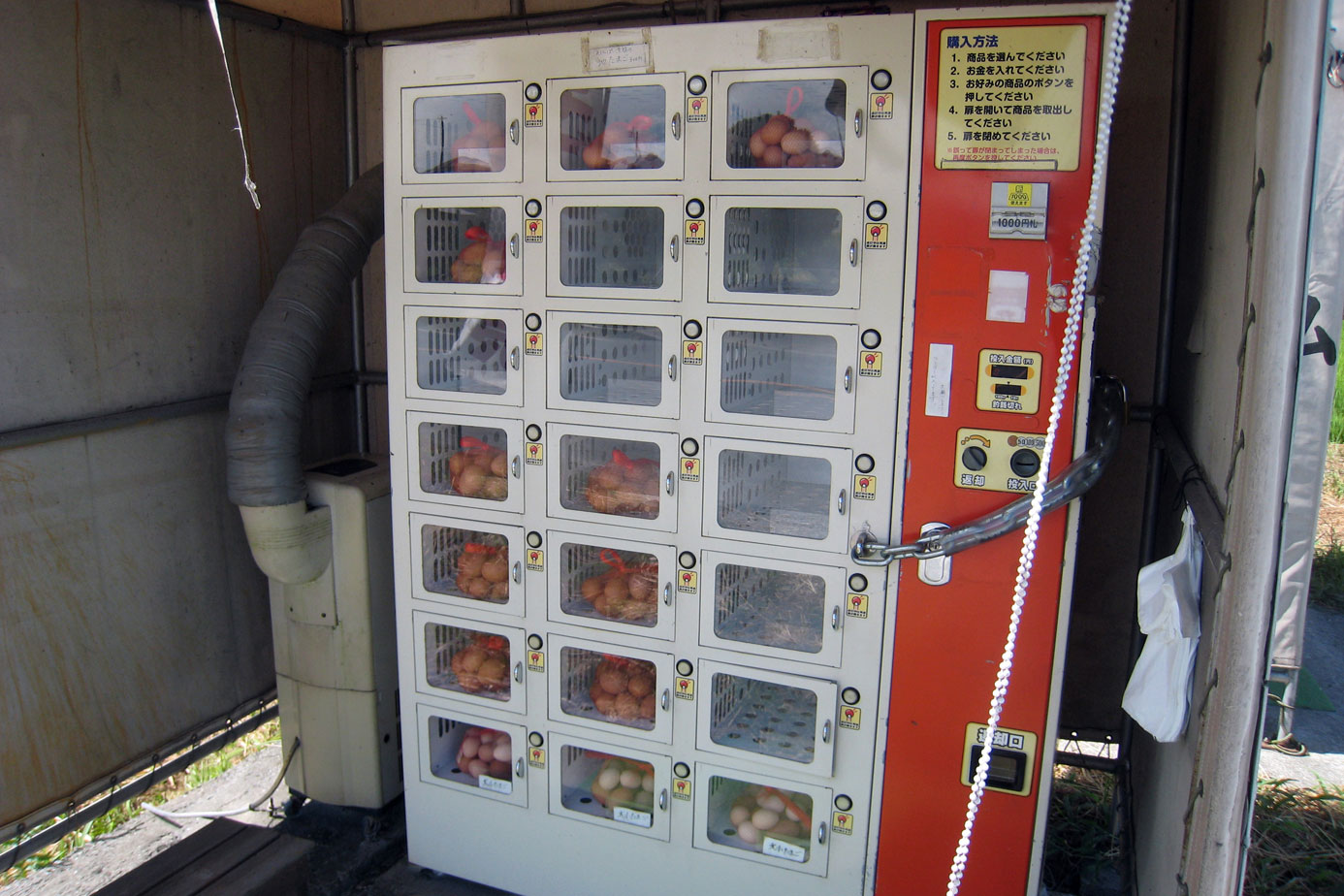 Бесплатные автоматы игры яйца
