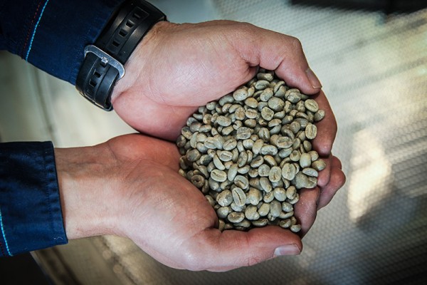 Сейчас компания обрабатывает 350-400 заказов в неделю, каждую пятницу обжаривая по 700-800 кг кофе Фото: Екатерина Кузьмина