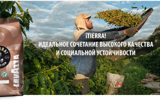 Lavazza Tierra