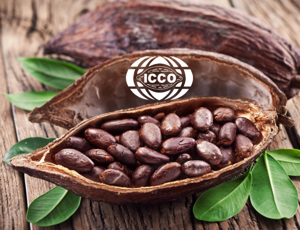 Цены на какао бобы. Какао производители. Какао Бобы арт. Какао вкус. Производство какао.