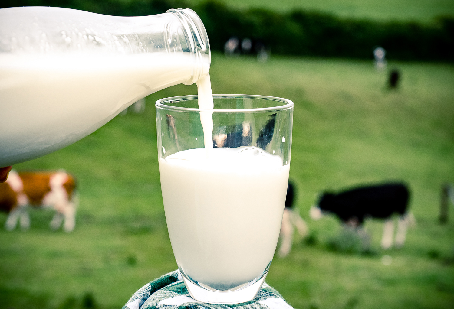 Потребление молока на каждом этапе жизни