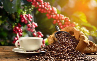 Цены на кофе резко упали в июле, индикатор ICO снизился на 7,2%