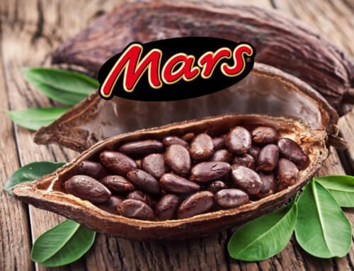 Mars и Pairwise объединяют усилия для ускорения разработок в области какао