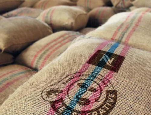 Nespresso объявляет о выпуске первого регенеративного кофе Rainforest Alliance