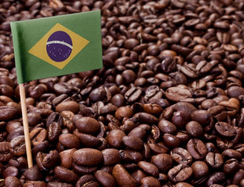 Экспорт бразильского кофе резко сократился в 2025 году
